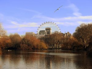saint_james_park-1